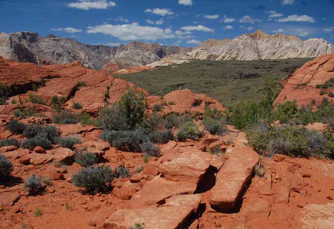 Looking north in the park